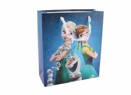 Пакет подарочный Frozen Эльза и Анна